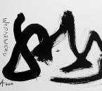 Sans Titre - Encre et Crayon Sur Papier 1 - 24x32 - 7-2010.jpg